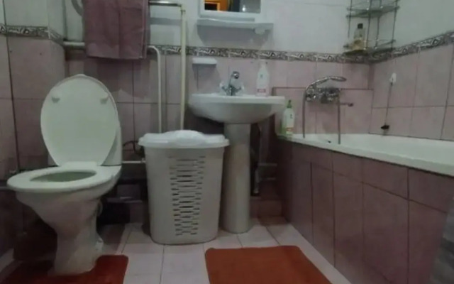 V Tsentre Goroda Flat