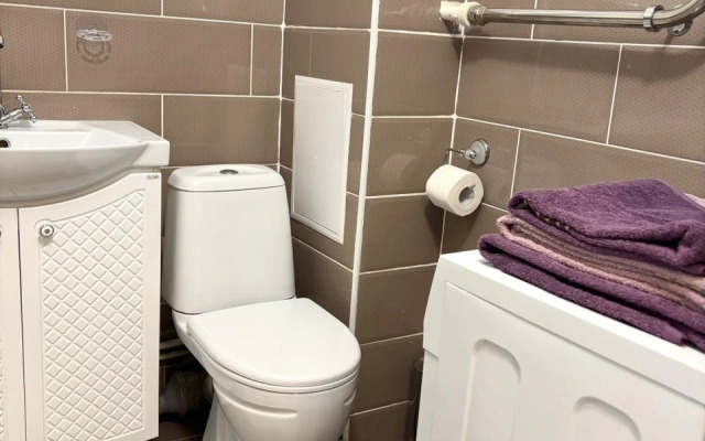 Квартира Уютная однокомнатная в Янино-1