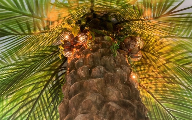 Apartment Seashell 3