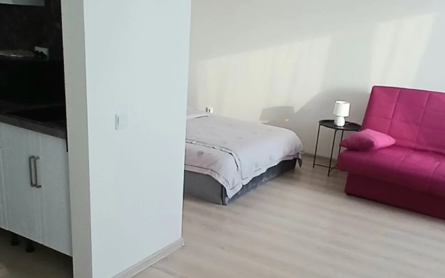 Квартира Однокомнатная 2я Новосибирская 10