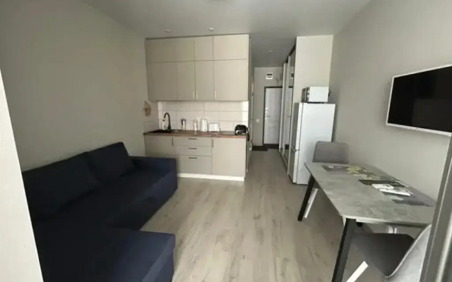 Studiya 389 Na Ulitse Gaydara 22k1 Flat