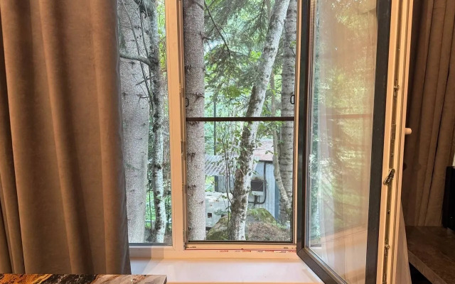 Шале Зарево 2