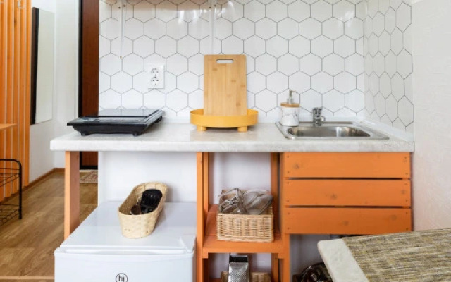 Pushkinskiy Flat 1