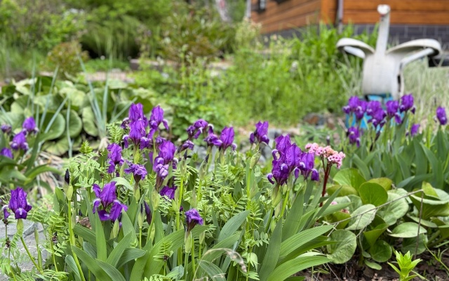 Гостевой Дом Отдыха Лесной Камин Сугояк