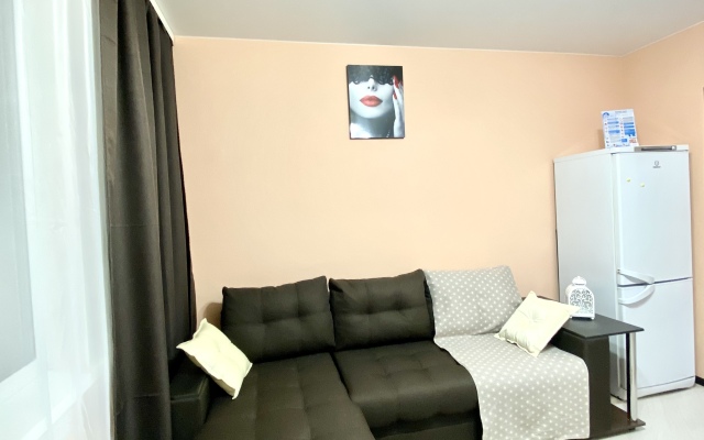 Апартаменты Проспект Молодёжный 33к1 квартира 151