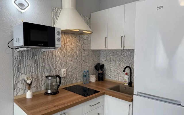 Studiya V Tsentre Yaroslavlya Flat