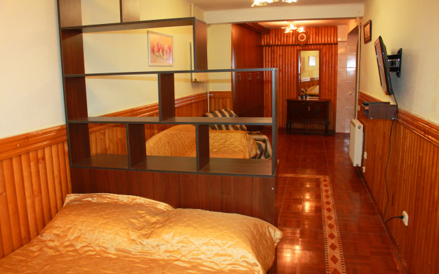 Apartamenty Ellingi v Otradnom