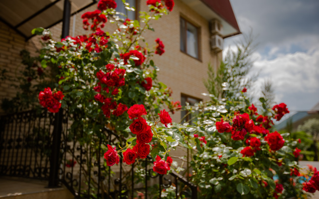 Usad'ba Zolotyie Vorota Hotel