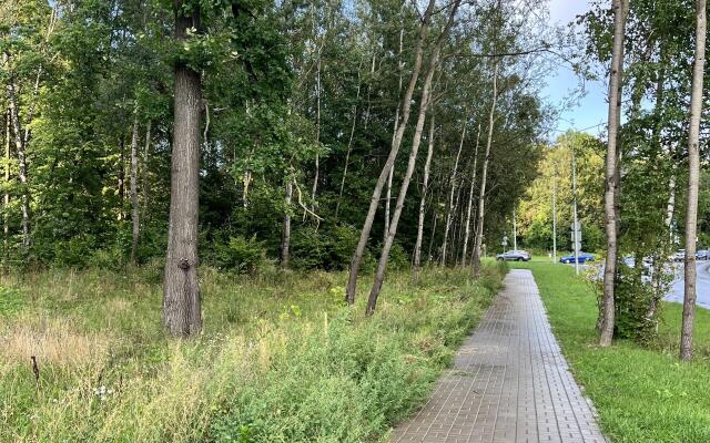 Квартира Мятная в Квартале