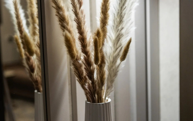 V Samom serdtse Vyborga Flat