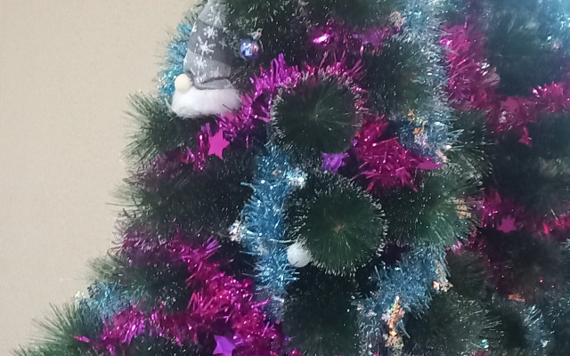 Квартира вместительная в центре набережная реки Енисей