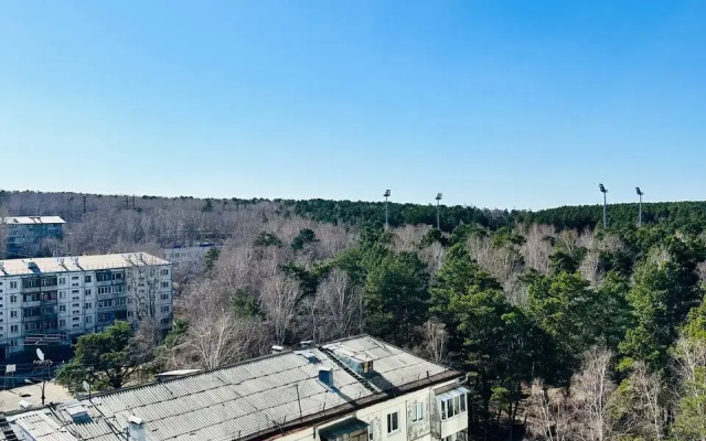 Uyutnaya Dlya Komandirovochnykh Sotrudnikov I Turistov S Detymi Flat