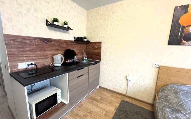 Апартаменты Студия на Гагарина