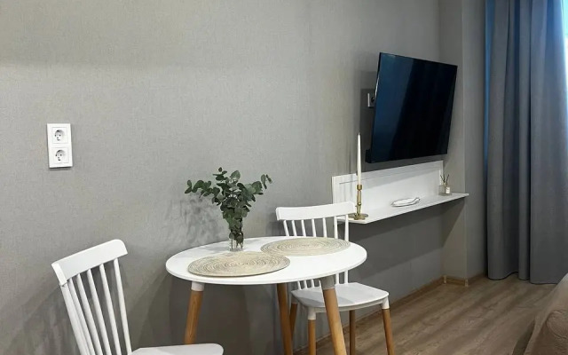 Studiya S Dizaynerskim Remontom Apartments