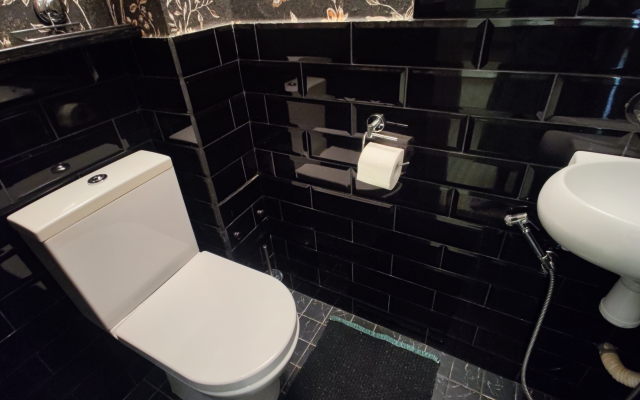 Prostornaya Uyutnaya v Tsentre Flat