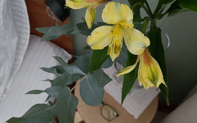 Апартаменты Уютная двушка на Взлётке