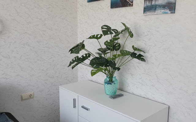 Yevrodvushka 48kv.m Flat