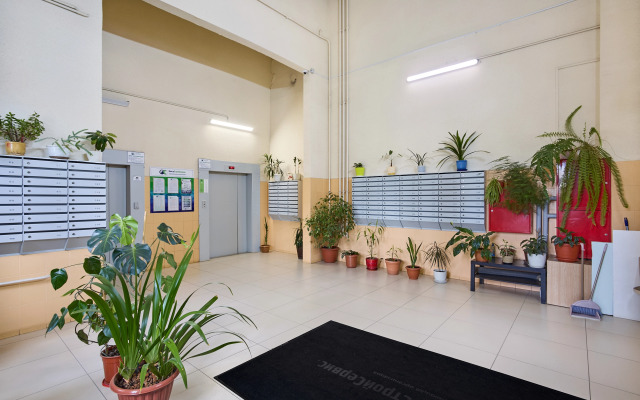 Uyutnaya Studiya Na Drevlyanke Flat