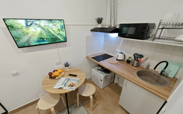 Studiya Na 2kh Na Tukhachevskogo 49/1-13 Flat