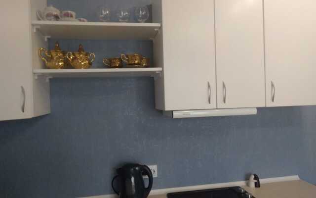 V Tsentre U Reki Apartments