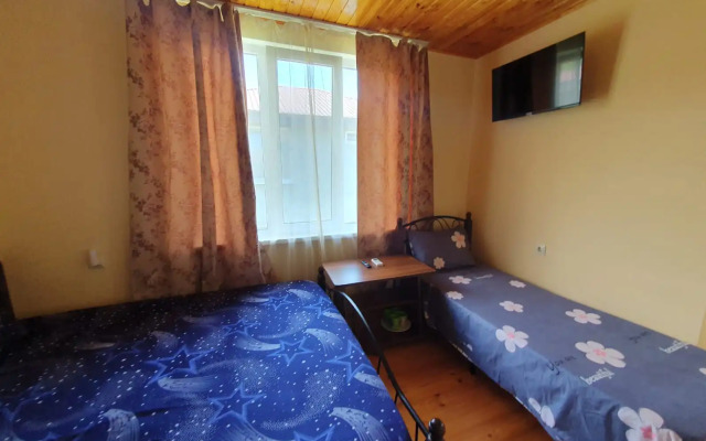 Abaza Guest House