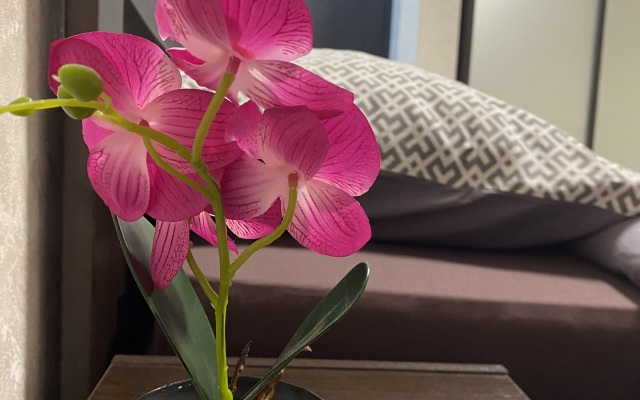 Na Konstantina Paustovskogo 6 Flat