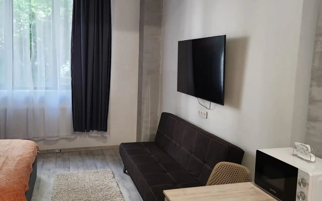 Апартаменты Премиум Павелецкая 3