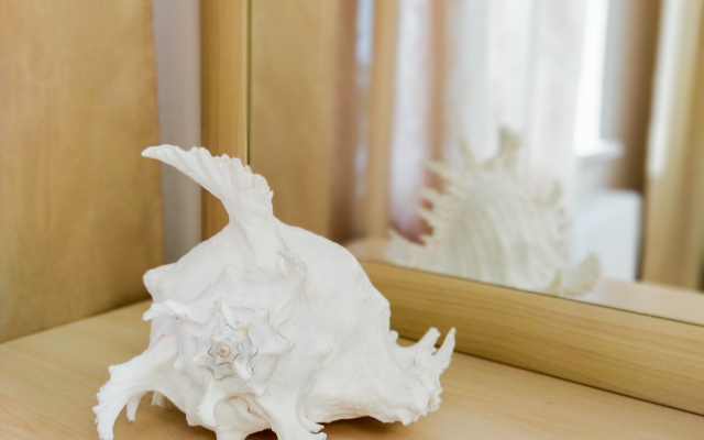 Апартаменты Asian dreams