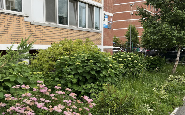 Апартаменты на Северном проспекте 29