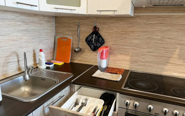 Na Ulitse Akademika Fortova Apartments	
