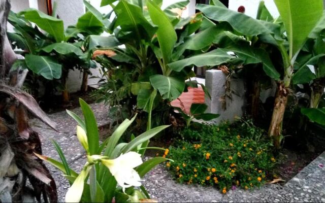 Oasis Hotel Bungalows Rodos - All Inclusive Hotel