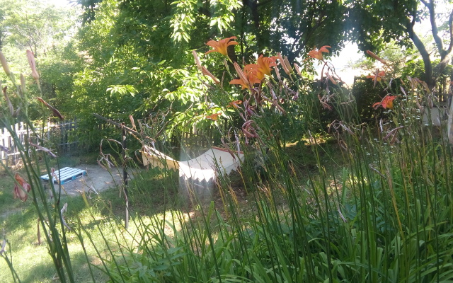 Vishneviy Sad Guest House