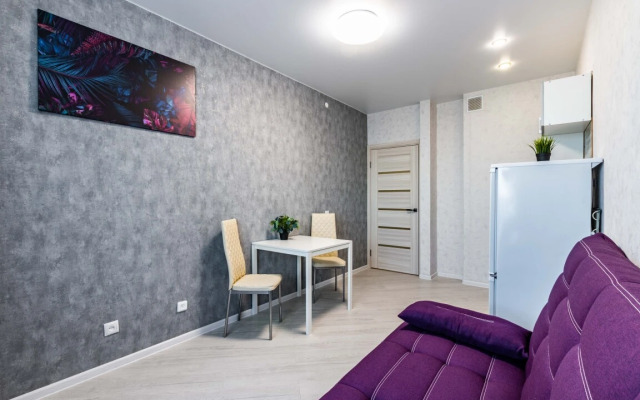 Апартаменты DreamHouse на Самолетной 31 1