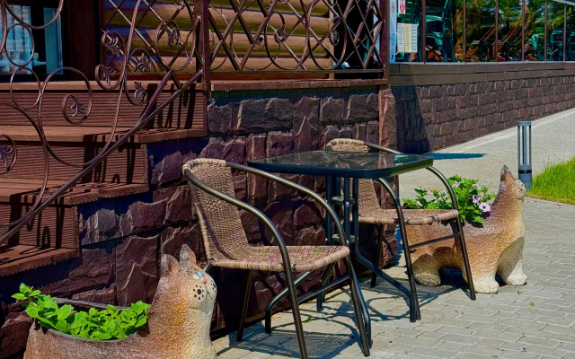 Рыжий кот