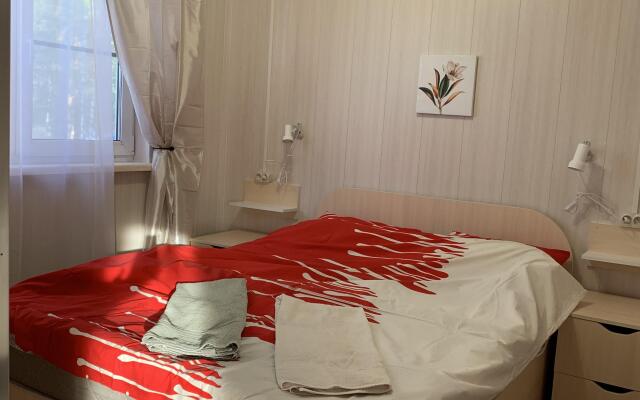 Hotel Eco-hotel Sosnovyy Bor