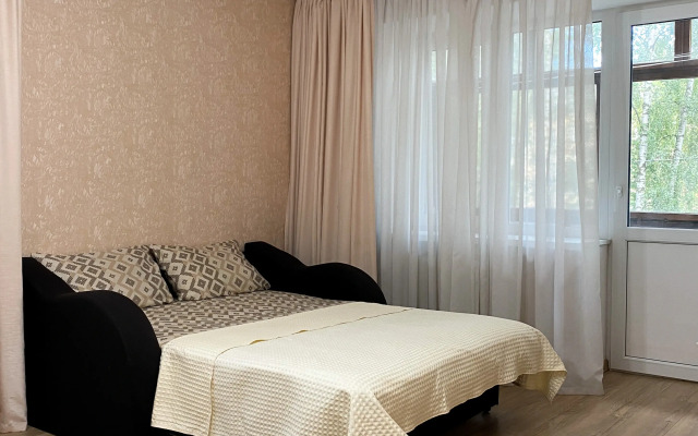 Апартаменты Квартира у ДС Торпедо на Чкалова