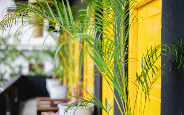 Sugar Weligama  Hostel