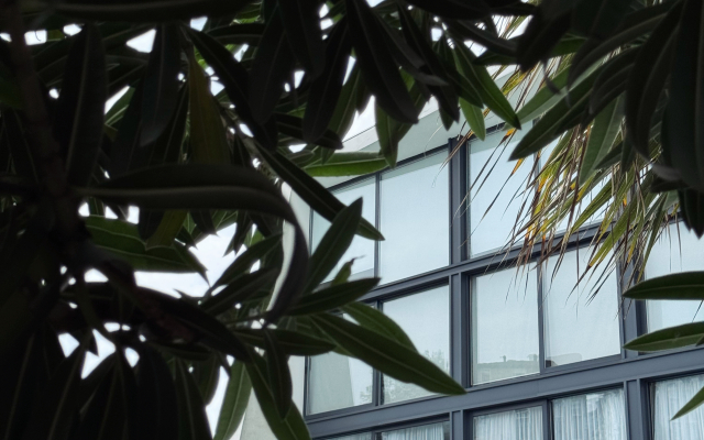 Апартаменты Green Palace Sochi