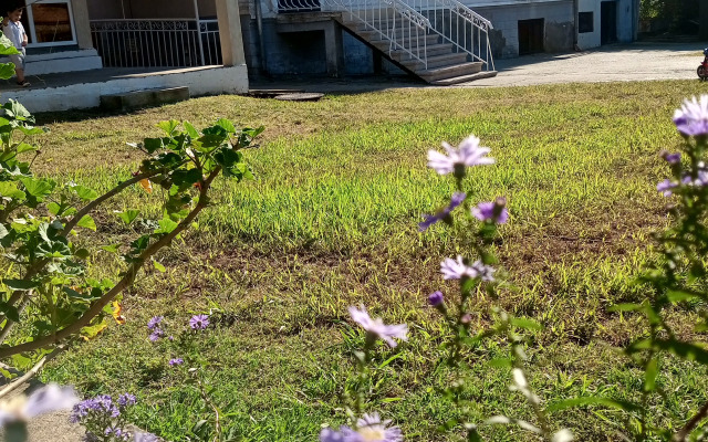 U Emmy Guest House