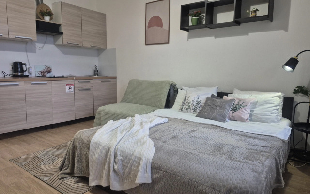 Апартаменты PetrovskyApart2