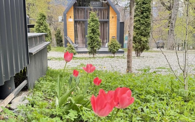 WoodVillas Recreation camp