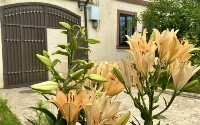 u Morya v Derbente Private House