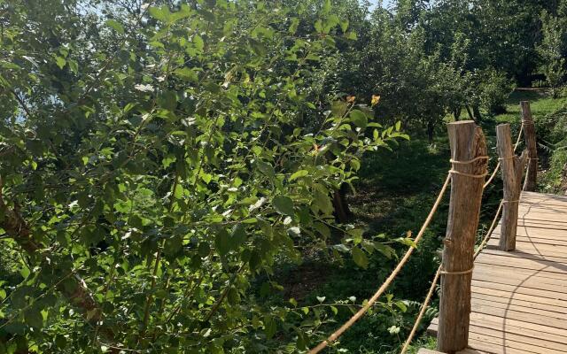 Eco Village Sochi Camping