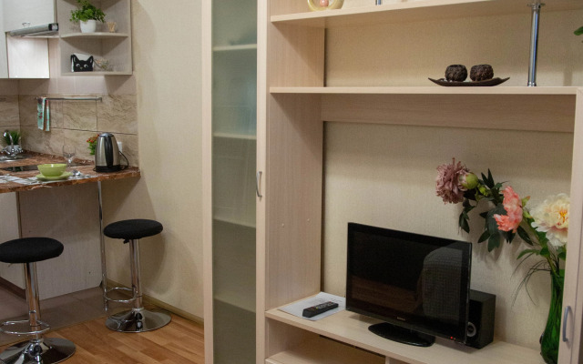 Квартира на Охтинской аллее 10к1