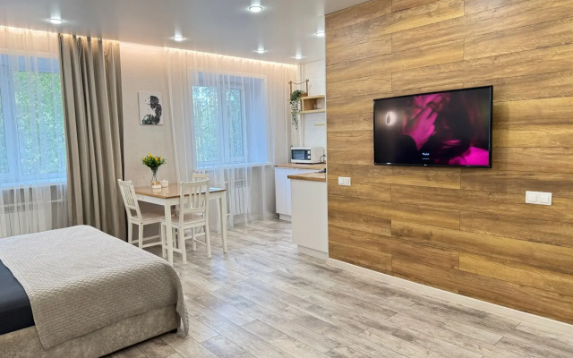 Elitnaya Studiya v Tsentre Goroda Flat