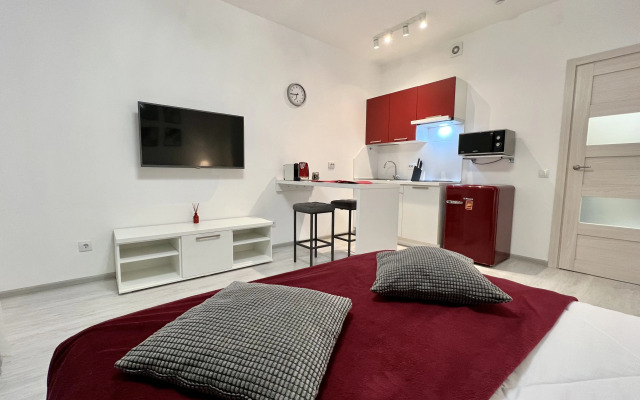 Апартаменты Zina's Apartment