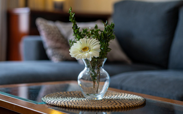 Апартаменты Kiwi