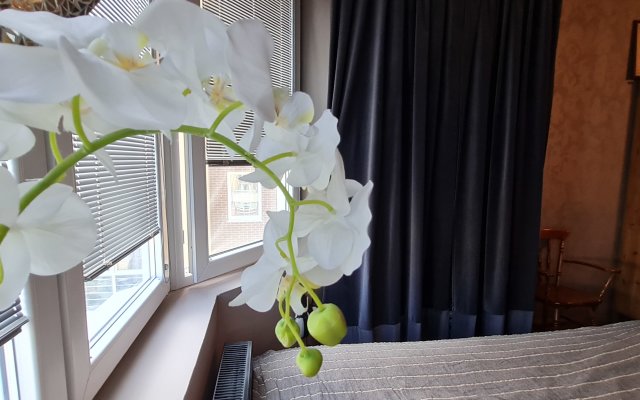 Romantichnaya Kvartira Ryadom S Parkom Apartments