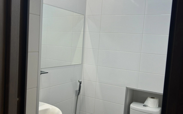 Апартаменты Apartment with marvelous view abanotubani