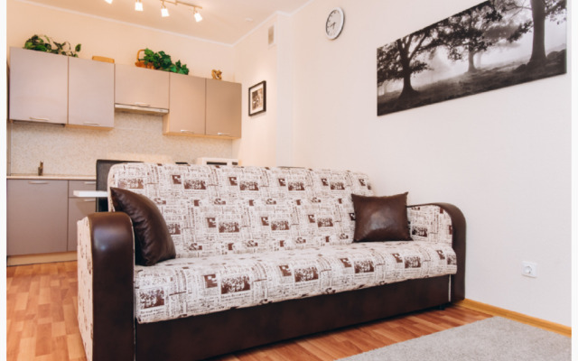 Апартаменты на Шейнкмана